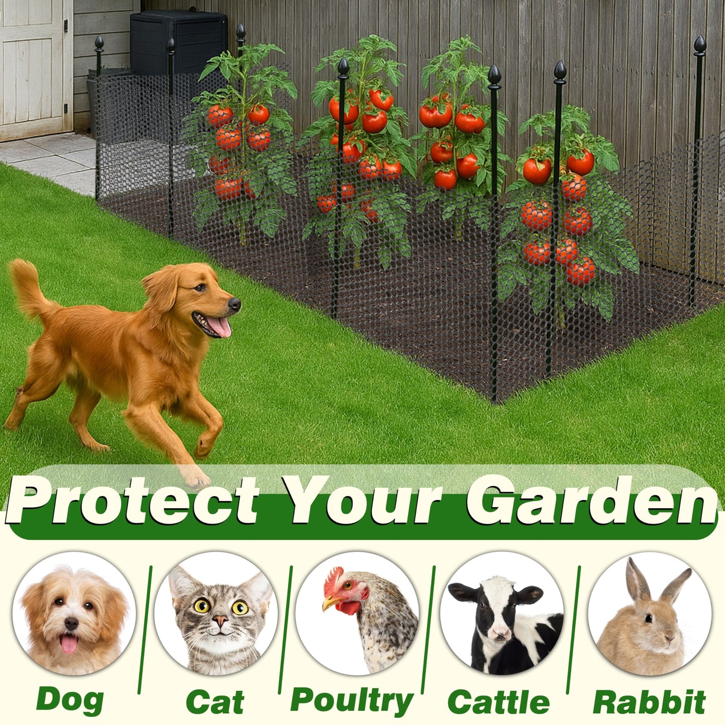 Gardzen Plastic Chicken Wire Mesh with 20pcs Ties, 16in x 10ft Durable Chicken Fence for Poultry, Garden Protection & DIY Crafting, Heavy-Duty Mesh Netting for Outdoor & Indoor Use