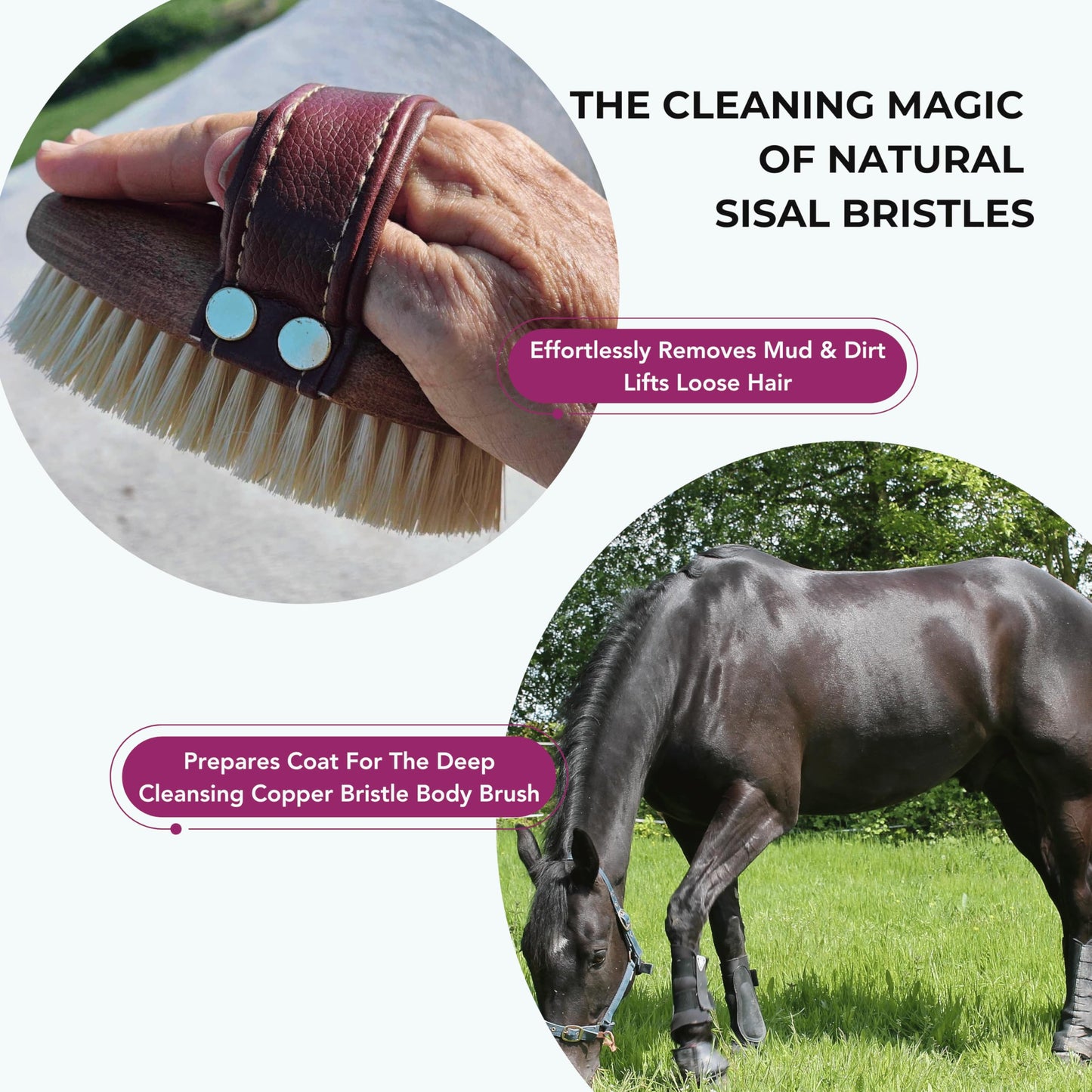 Horse Grooming Brush – Mud & Dirt Removal, Stiff Sisal Bristles, Compact Size | Gentle on Sensitive Coats, Premium Equine Care Tool for Grooming Kit