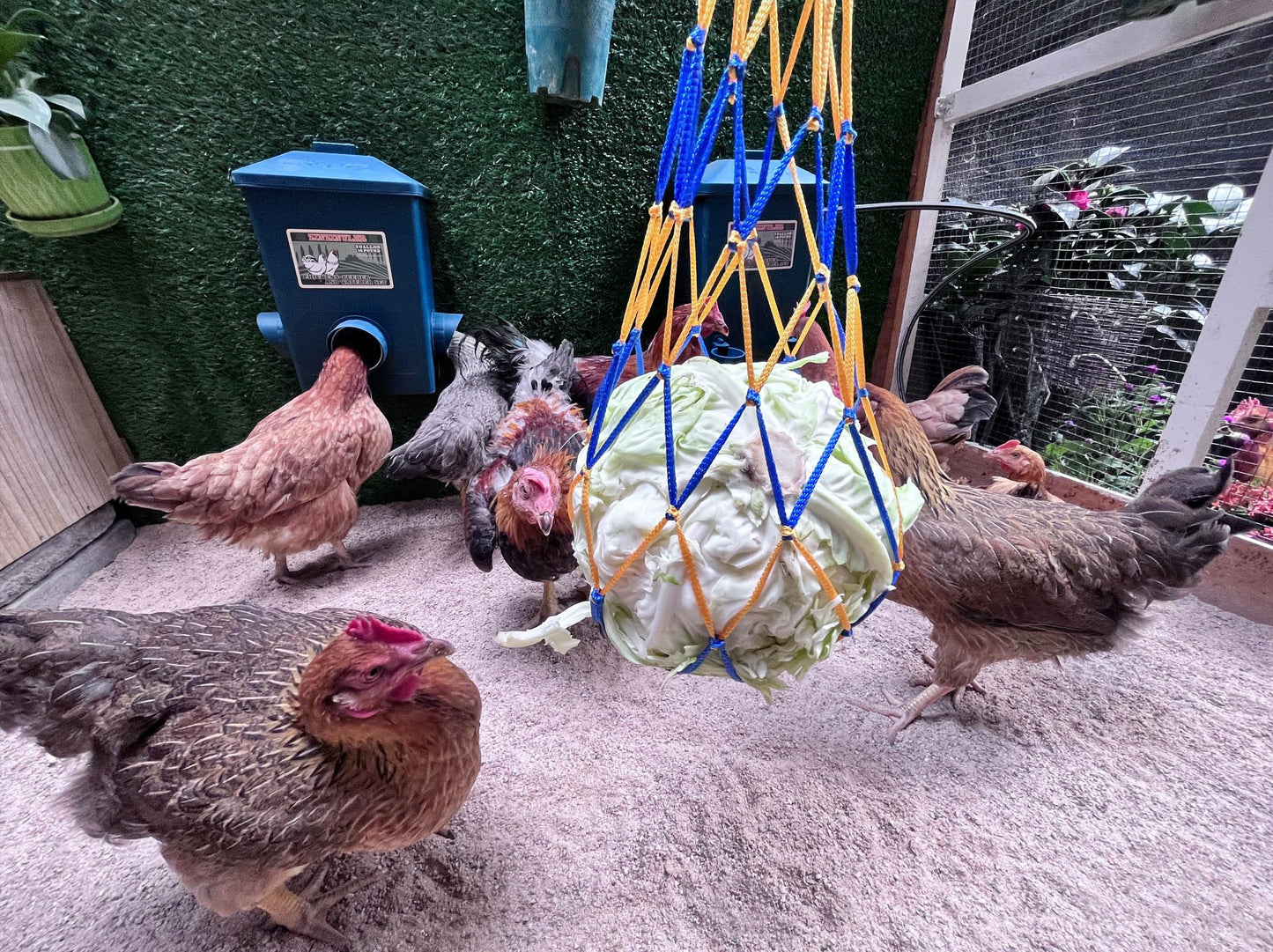 Chicken Waterer with Float Controlled Automatic Set, Chicken Coop Accessories - No Manual Water refilling Needed, 4 Gallon（Compatible with 5/8-inch and 3/4-inch Water Pipes, 60-inch Water Supply Pipe