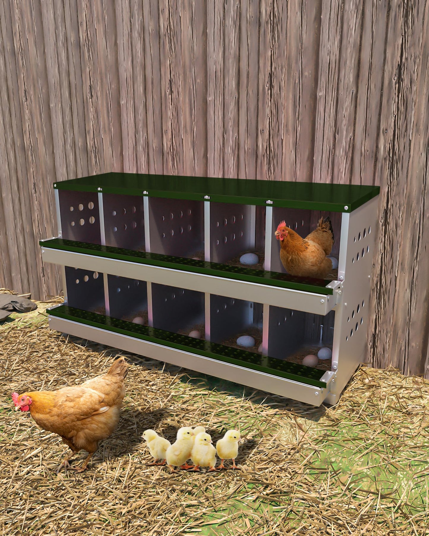 GarveeLife Wall-mountable Roll Away Metal Chicken Nesting Box for Laying Eggs, Rustproof Chicken Laying Boxes for Hens, Ventilated with Perch, Waterproof, 10 Compartments, Green