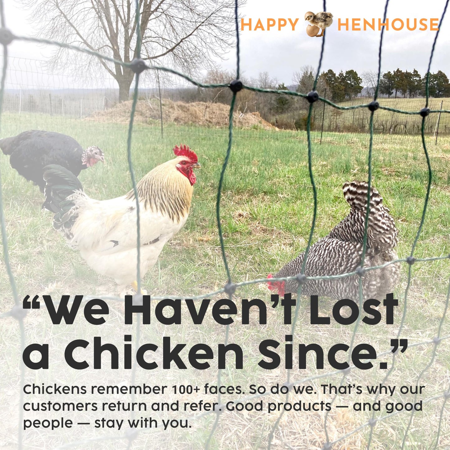 Happy Henhouse Electric Poultry Netting – Premium, Portable & Weatherproof 48" x 164' Net with Stakes, Easy-Setup Predator Fence for Chickens, Farms & Gardens - Sleep Sound Knowing Your Coop is Safe