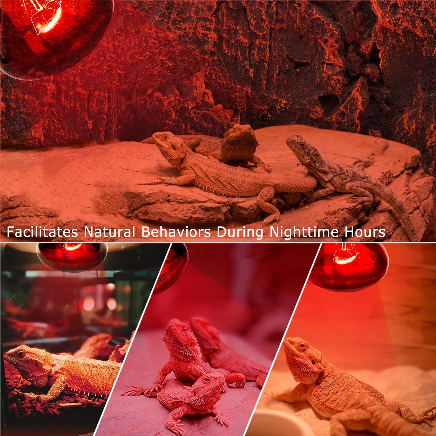 HARTOMPET 60W Infrared Red Heat Lamp for Reptiles, Basking Spot Bulb for Pet Lizards, Bearded Dragons, Chameleons & Snakes, Red Heat Emitter Light for Chickens Coop and Brooder Use, E26|2 Pack