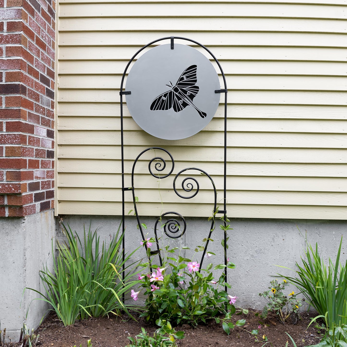 Luna Trellis