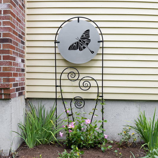 Luna Trellis