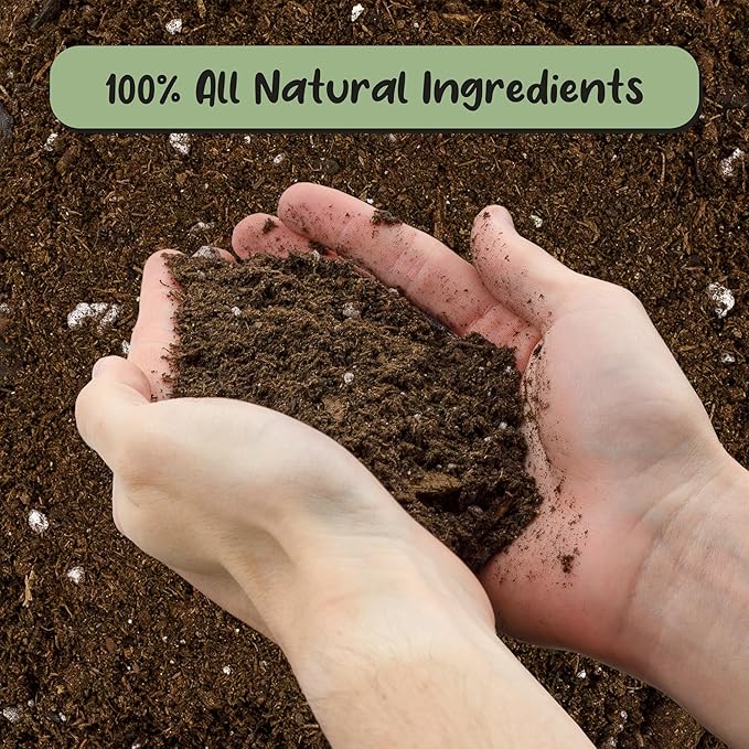 Hoya Plant Potting Soil Mix (8 Quarts), Custom Blend for Growing Hoya Tropical Houseplants