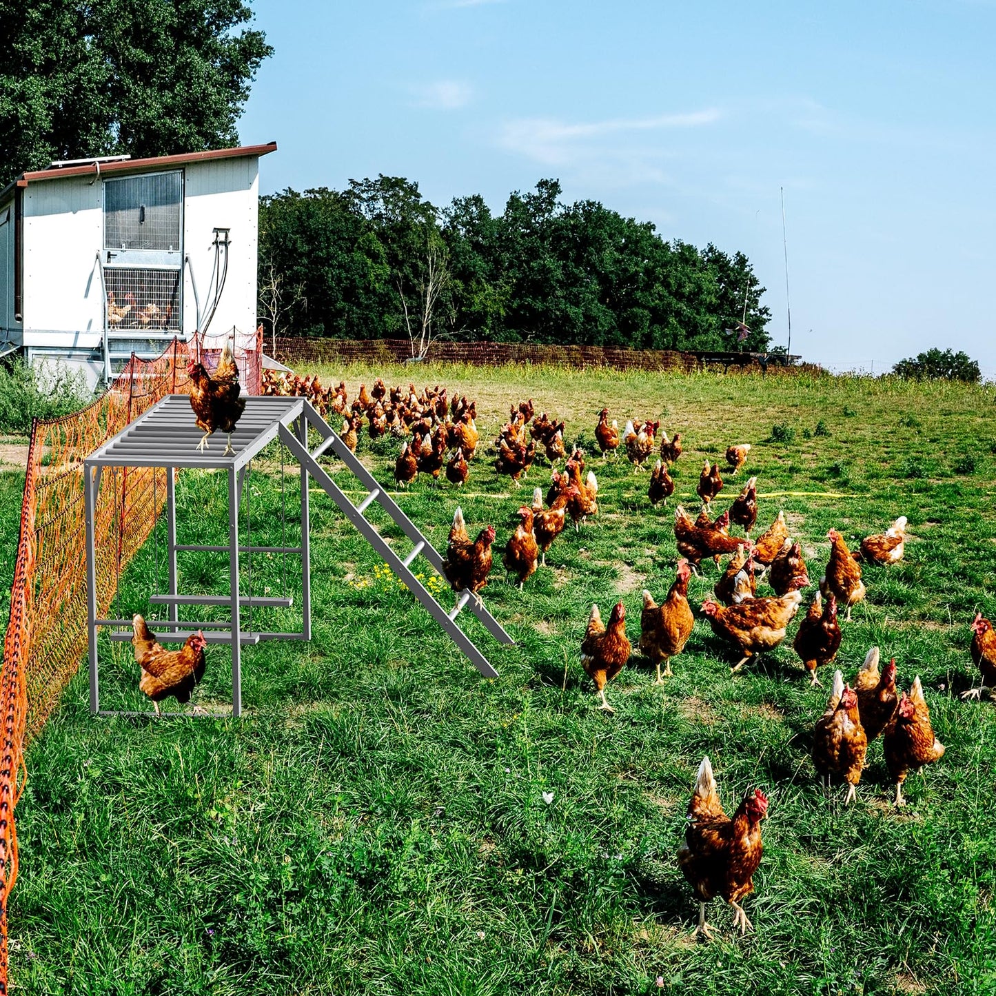 Chicken Perch with Swing Set, Roosting Bars for Chickens in Coop for Pet Chickens' Health and Happiness, Metal Chicken Toys Accessories for Backyard Farms, Light Gray