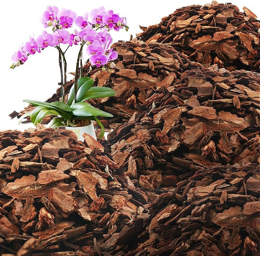 AVALUTION Orchid Potting Bark-29QT Organic Orchid Bark for Plants, All Natural Pine Bark Wood Chips for Houseplant Mulch, Orchid Plants Root Development, Mulch for Potted Plants