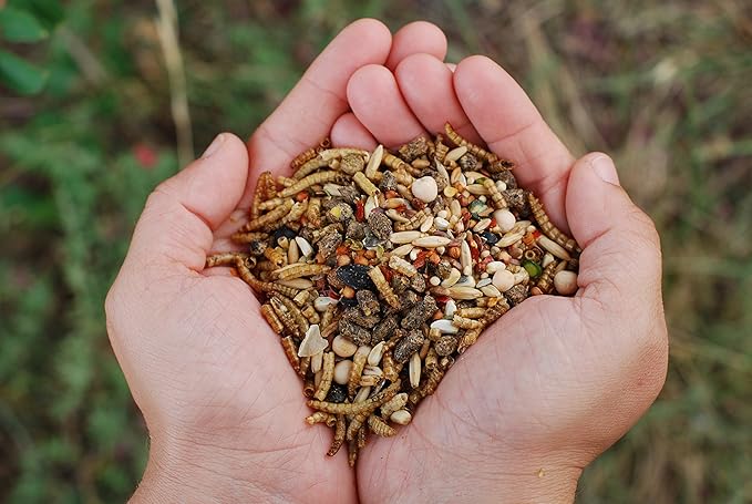 Chicken Fun-DOO Non-GMO, Soy-Free Chicken Treat | Premium Poultry Mealworm, Vegetable & Herb Mix (5 lbs)