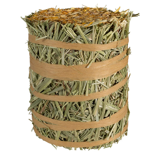 Kaytee Field+Forest Mini Hay Bales Marigold 3.5 Ounces