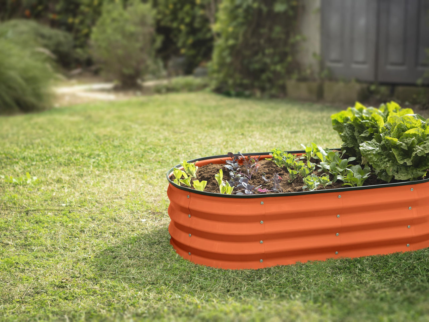 Galvanized Raised Garden Beds Outdoor // 4×2×1 ft & 8×2×1.5 ft Modular Planter Raised Beds for Gardening, Vegetables, Flowers // Large Metal Garden Box