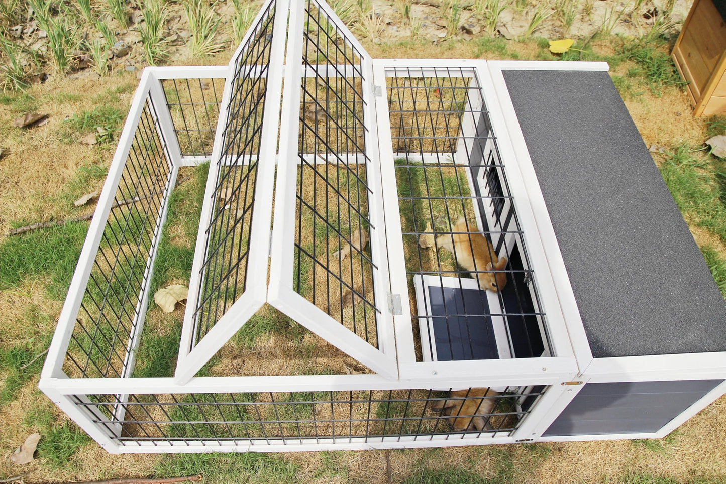 CHURRZZ Wooden Outdoor Rabbit Cage, Openable Waterproof Roof, Dual Habitat, Small Animal House,Rabbit Huts for Farms and Gardens,Hamsters,Guinea Pigs,Ferrets,Hedgehogs