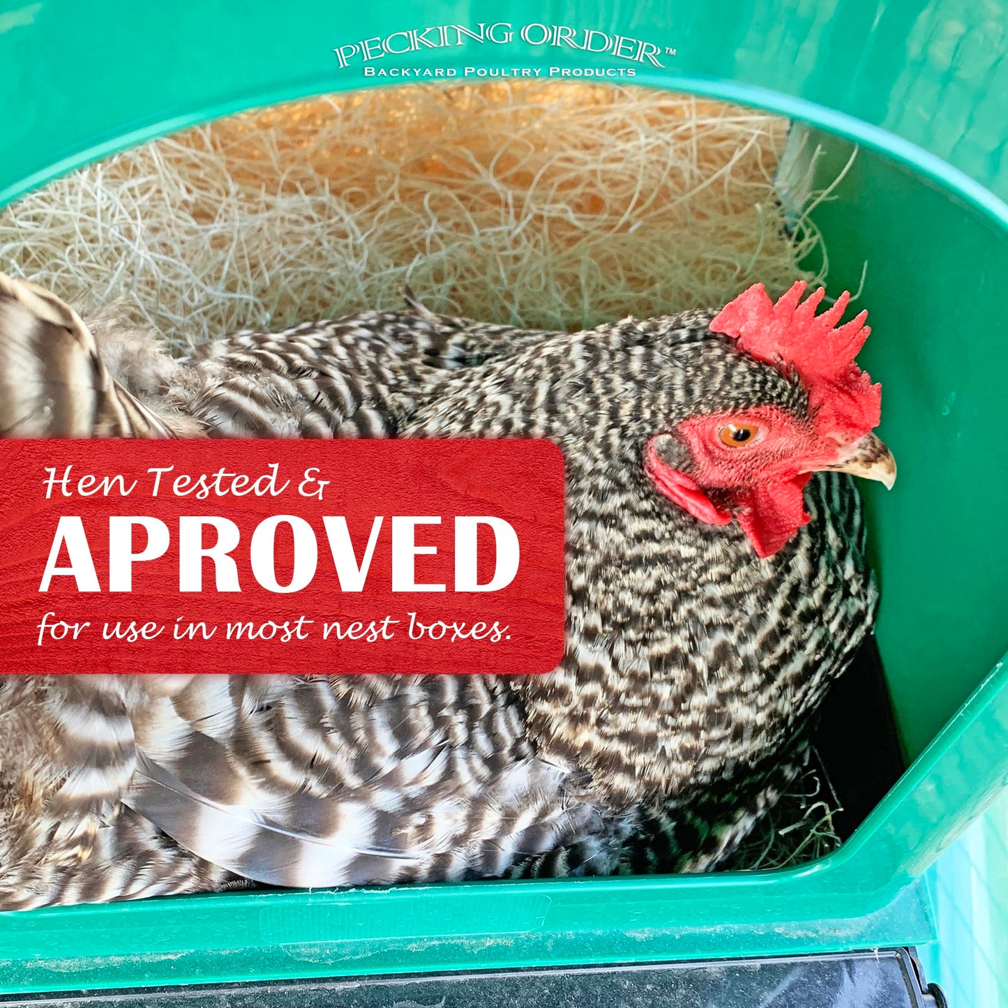 Nest Box Pads for Chicken Nesting Boxes - 13 x 13 Pads Made in USA from Sustainably Sourced Aspen Excelsior (10 Pack)