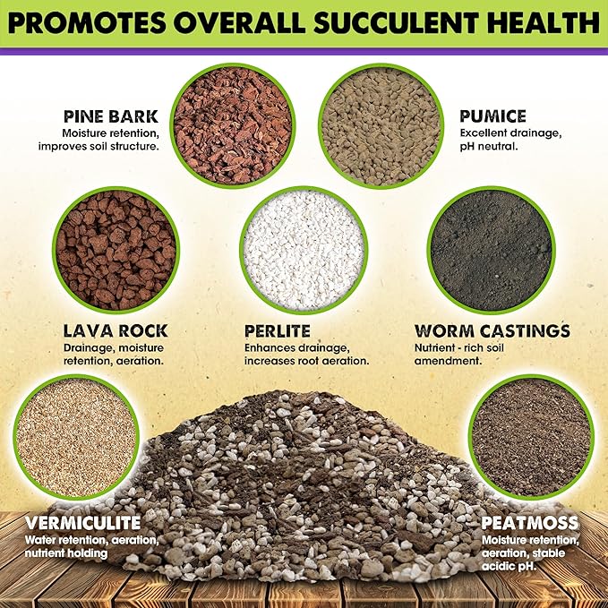 DUSPRO Succulents Soil Potting Mix – 7 in 1 Ingredients Well-Draining, Nutrient-Rich Cactus Potting Soil for Succulents and Cacti, Indoor & Outdoor Use, Ready to Use, Supports Healthy Root Growth, 8QT