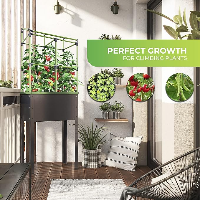 Bio Green Trellis for Raised Garden Bed with Watering System Heidelberg | 2.3 x 2 x 1ft | Ideal Growth for Climbing Plants | Ideal for Balcony/Garden