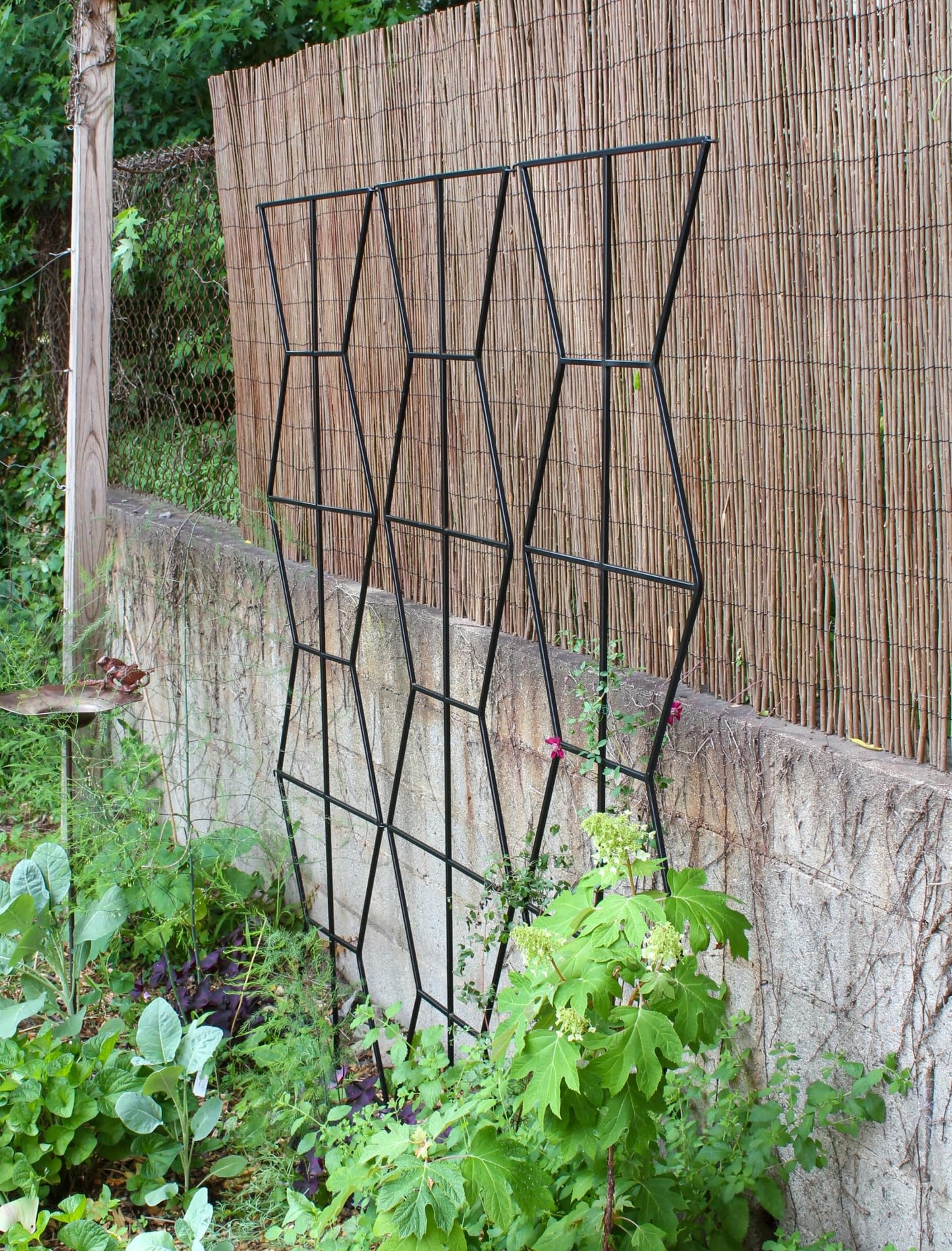 Zigzag Screen Trellis