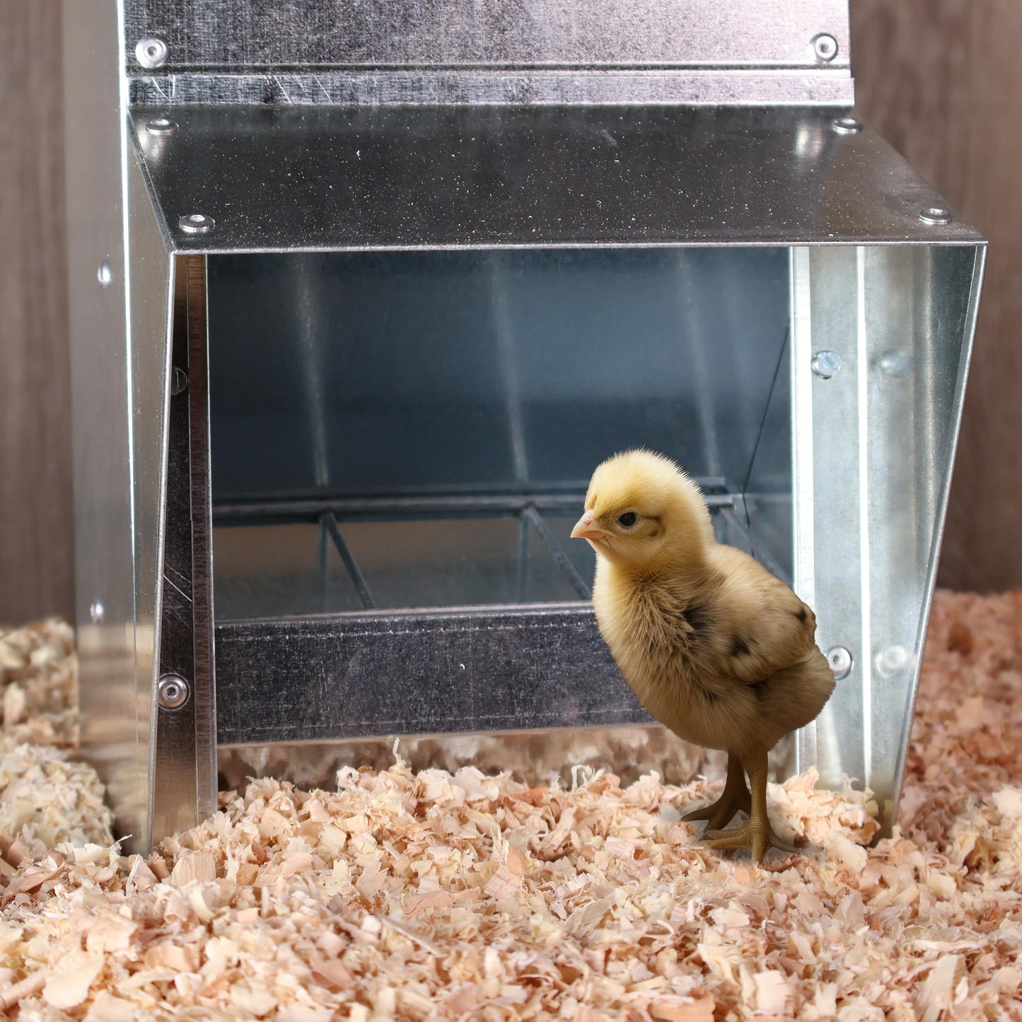 Rural365 11.5lb Capacity Galvanized Chicken Feeder - Rat Proof Poultry Feeder with Lid Weatherproof Outdoor Coop Food Dispenser