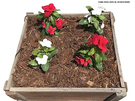 100% Natural Cedar Mulch, 40 Quarts Plus 8 Quarts Free!