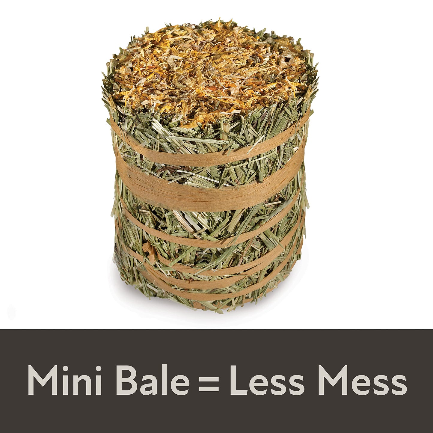 Kaytee Field+Forest Mini Hay Bales Marigold 3.5 Ounces