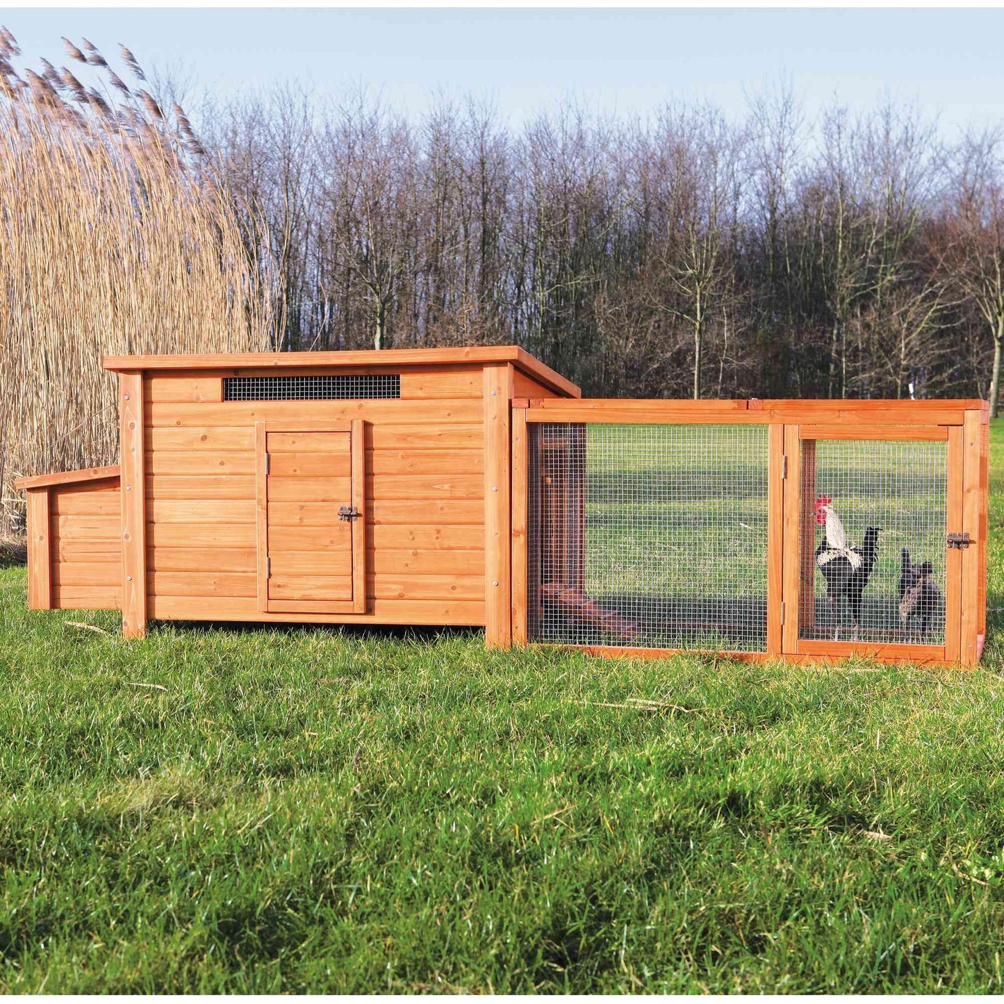 TRIXIE Natura Chicken Outdoor Run with Mesh-Covered Top, Extension for Natura Chicken Coops (55960, 55962, 55963, 55964), up to 2 Chickens (Standard Size) or 4 Bantams