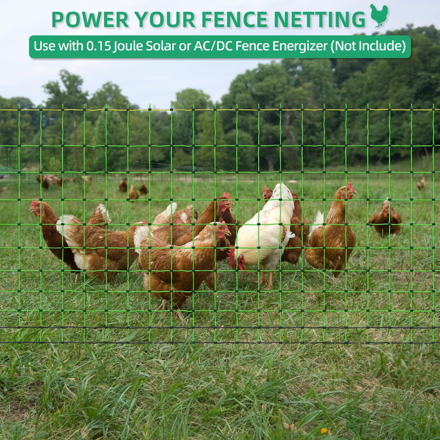 Poultry Netting Electric Fence, 41.5" H x 164' L, Portable Livestock Nets Mesh for Chickens, Ducks, Geese, Turkey, Electric Fencing for Backyards, Homesteaders, Farms, Ranches, Gardens