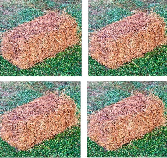 USA Pine Straw - Premium Pine Needle Mulch (Pine Needle Mulch - Covers 65-80 Sqft 4 Set)