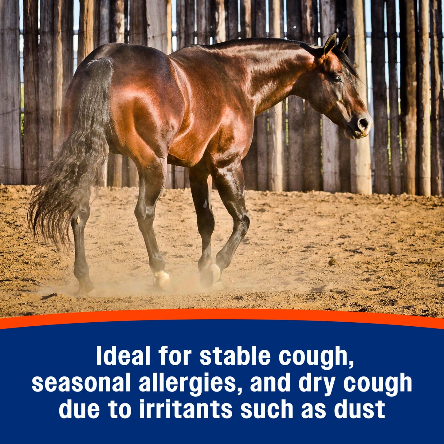 Farnam Cough Free Pellets Respiratory Health Supplement for Horses, Provides Respiratory Support for Horses with Seasonal Allergies or Stable Cough, 1.75 lb., 48 Day Supply