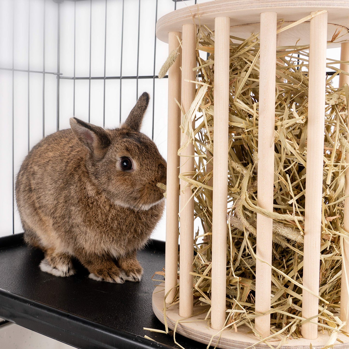 andwe Hay Feeder Less Wasted Wooden Food Feeding Rack for Rabbit Guinea Pig Chinchilla - Standing Pet-self Feeding Hay Manage
