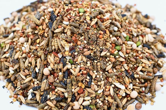 LITTLE FARMER PRODUCTS Chicken Fun-DOO Non-GMO, Soy-Free Chicken Treat | Premium Poultry Meal Worm, Vegetable & Herb Mix (3 lbs)