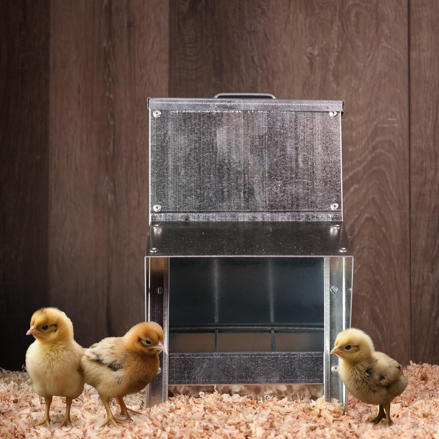 Rural365 11.5lb Capacity Galvanized Chicken Feeder - Rat Proof Poultry Feeder with Lid Weatherproof Outdoor Coop Food Dispenser