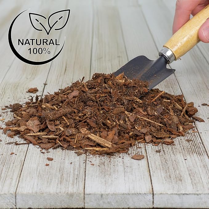 100% Natural Pine Bark Mulch Nuggets (4 Quarts), Small Mulch Chips for Indoor/Outdoor Container Gardening, Ideal for Soil Supplement, Houseplant Mulch, and Terrariums