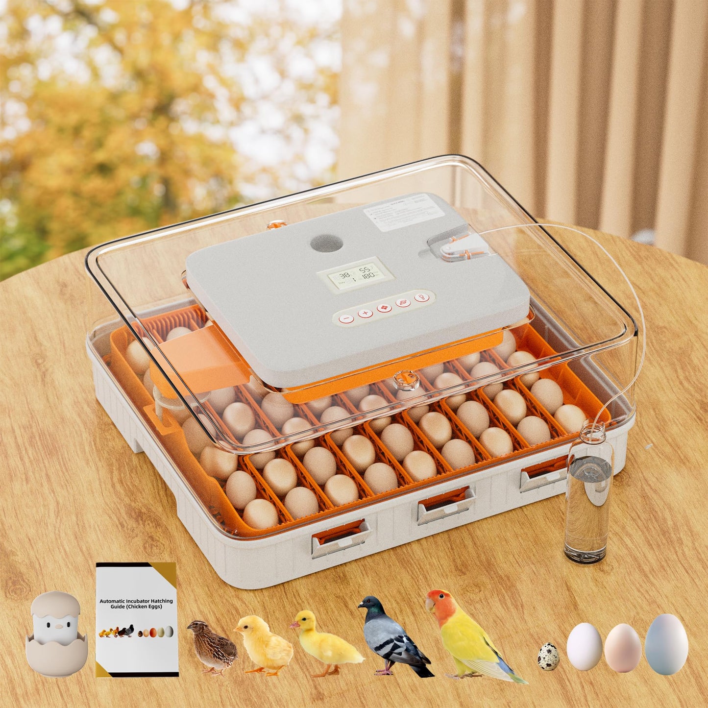 Ouluu 56 Egg Incubator, Automatic Turning & Smart Temp/Humidity Control, Built-in Candler, Plus Hatching Guide – for Chicken, Duck, Quail, Goose, Parrot, Pigeon, Ideal for Farm, Home, Lab, Classroom