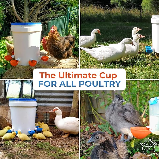 Lil Clucker - Blue Large Automatic Chicken Waterer Cups Suitable for Ducks, Geese, Turkeys, and Bunny Rabbit - Water Feeder Kit - Poultry Waterer - Pack of 5
