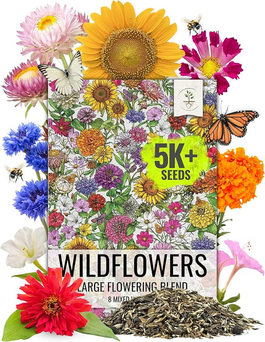 Seed Needs Garden Flower Seeds Large Blooms Mix Hummingbird and Butterfly | 1 Ounce No Filler 7 Varieties Open Pollinated | Resealable Package Live Wild Flower Seed | Bulk