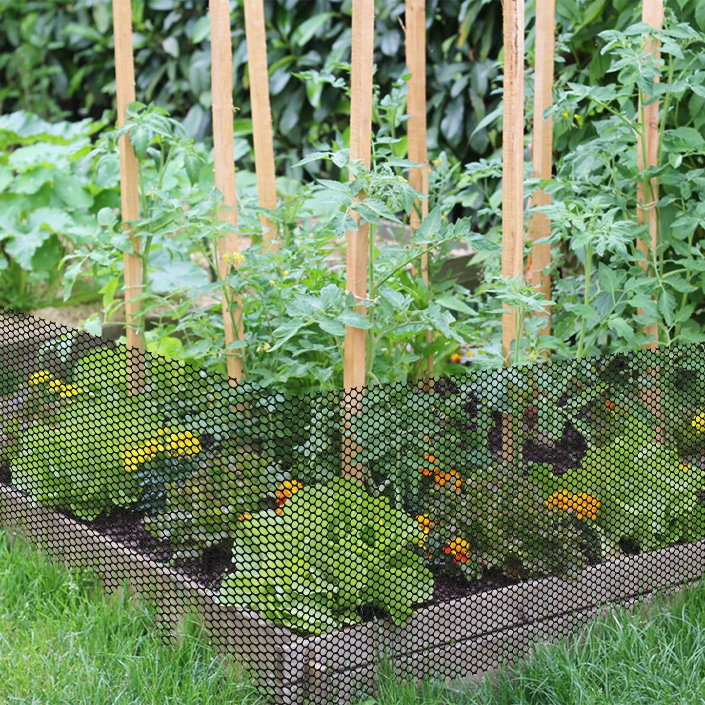 Unves 15.7IN x 16.4FT Plastic Chicken Wire Fencing Mesh, Hexagonal Chicken Wire Fence for Gardening Poultry Floral Dogs Rabbit Construction Barrier Netting, Plastic Fence Mesh Roll, Black