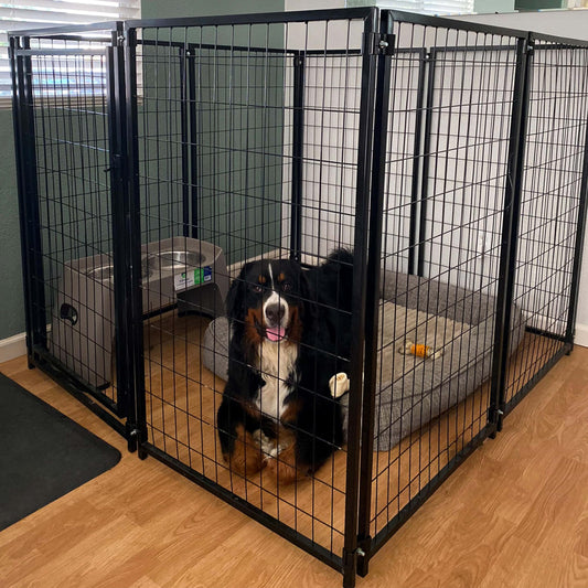 ALEKO Steel Dog Kennel Playpen | Indoor Outdoor Pen for Small/Medium/Large Puppy/Dog | 5'x5'x4' Large Galvanized Steel Kennel| Anti-Rust | Portable Travel Pet Kennel |(Black DK5X5X4SQ)