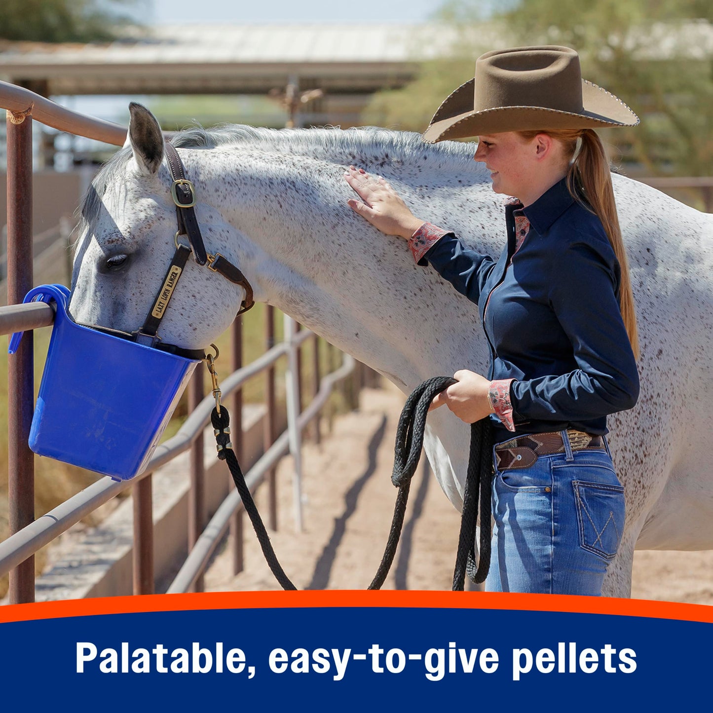 Farnam Cough Free Pellets Respiratory Health Supplement for Horses, Provides Respiratory Support for Horses with Seasonal Allergies or Stable Cough, 1.75 lb., 48 Day Supply
