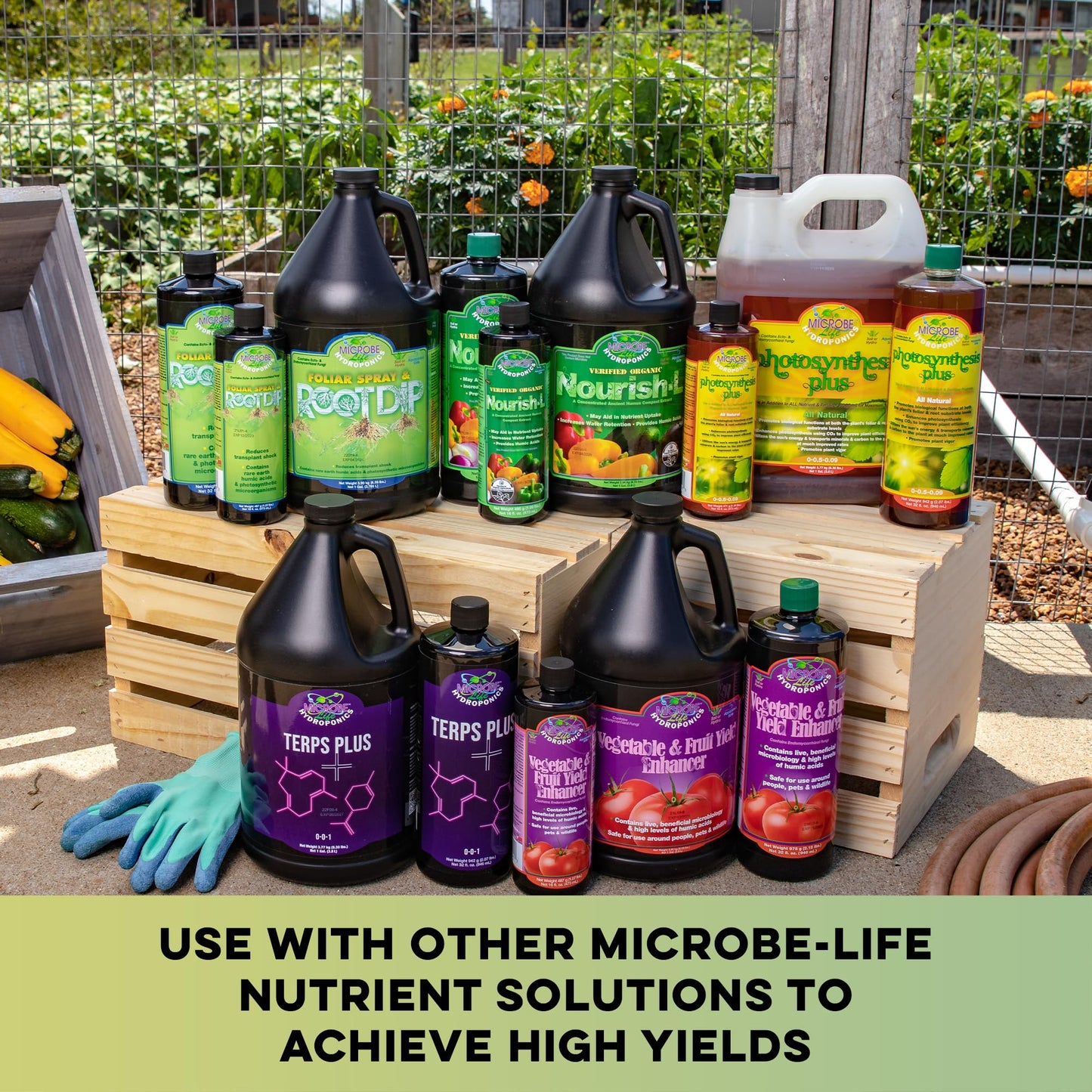 Microbe Life Hydroponics Premium Vitamins & Amino Acids Essential for Maximum Plant Growth and Root Uptake, Use with Any Feeding Systems Including Hydroponics or Soil, 2.5 Gallons
