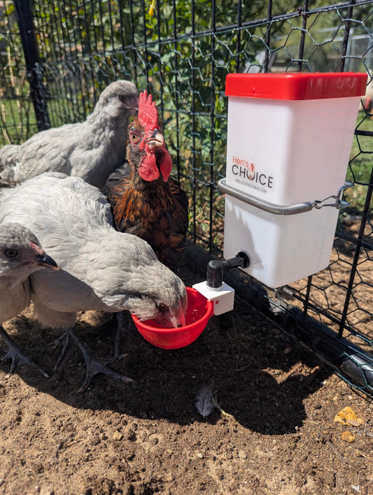 Hen's Choice™ 1L (32 oz) Drinker W/Cup, Nipple, & Wire Bracket for Poultry & Small Animals, Chick Waterer, Red