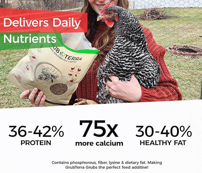 GrubTerra Golden Dried Black Soldier Fly Larvae - Premium Supplement to Increase Egg Production for Hen Treats, Bird Feed, Chicken Feeder, Pet Bird Food, and Wildbird Feed, Never from China! (10lb)