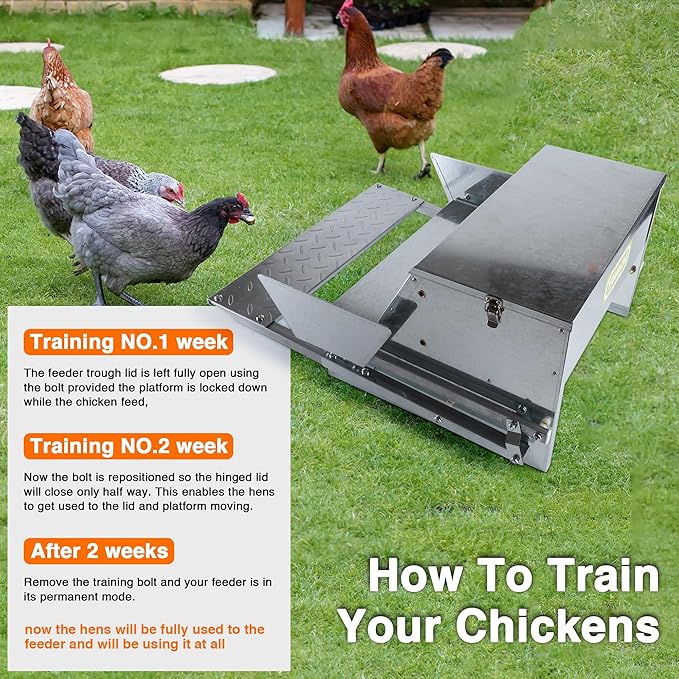 Chicken Feeder Galvanized 25Lbs Capacity Weatherproof Treadle Chicken Feeder Rodent Proof