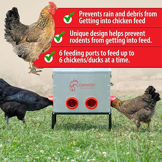 Automatic Chicken Feeder - 40 lb Capacity 6 Port Large Metal Chicken Feeders - No Waste Poultry Feeder with Locking Lid and Legs for Inside Chicken Coops