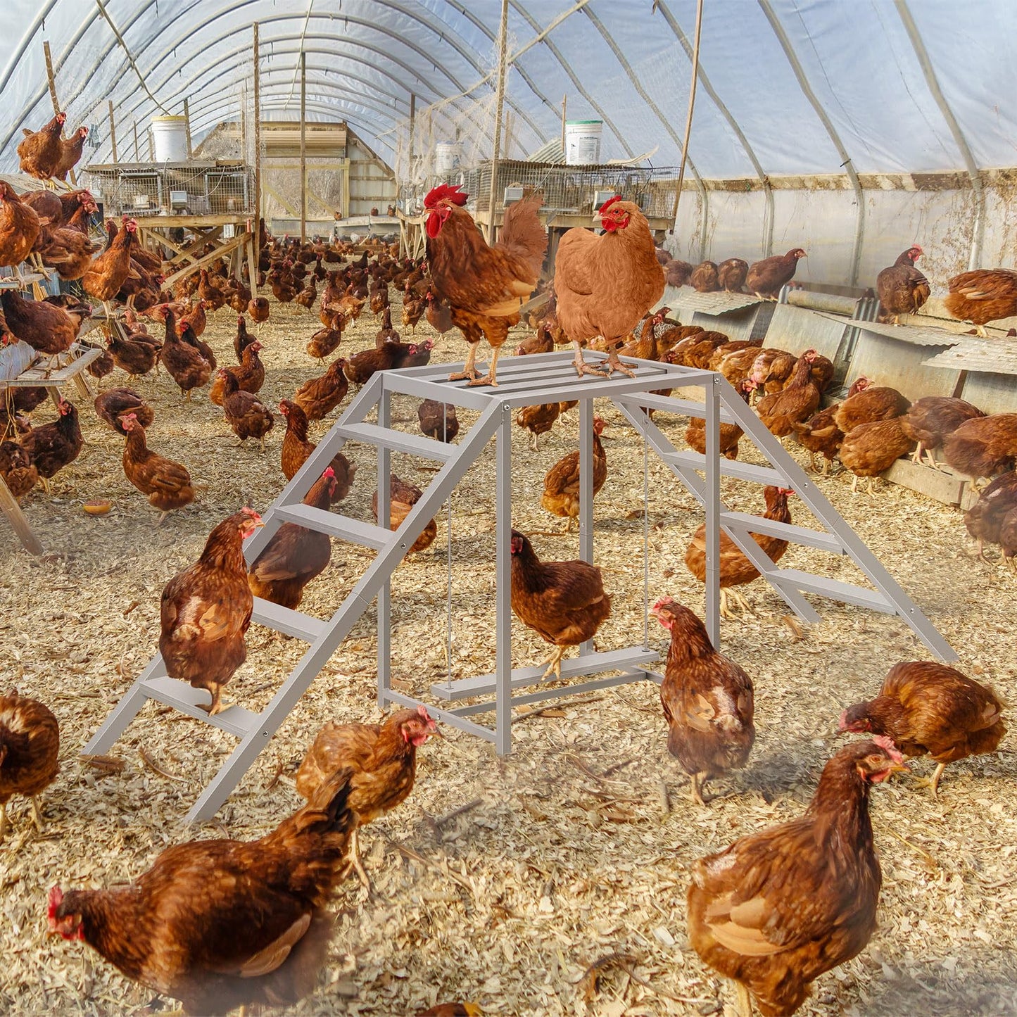 Chicken Coop Perches with Swing, Chicken Roosting Bars, Chicken Run Accessories Toy, Wooden Ladder for Pet's Healthy & Happy, Sturdy and Easy to Clean, Suitable for Backyard Farm