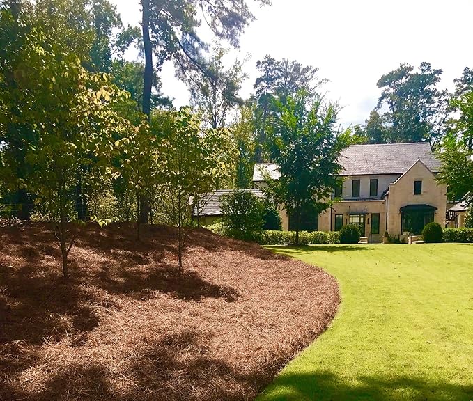 USA Pine Straw - Premium Pine Needle Mulch (Pine Needle Mulch - 300 Sqft 1 Set)