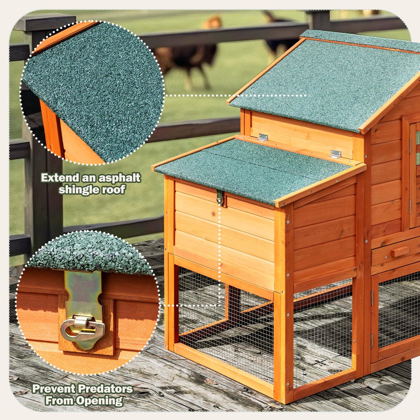 RUNSHED Chicken Coop for 4-6 Chickens Outdoor Wooden Hen House Poultry Pet Hutch for Backyard w/Run Cage & Nesting Box
