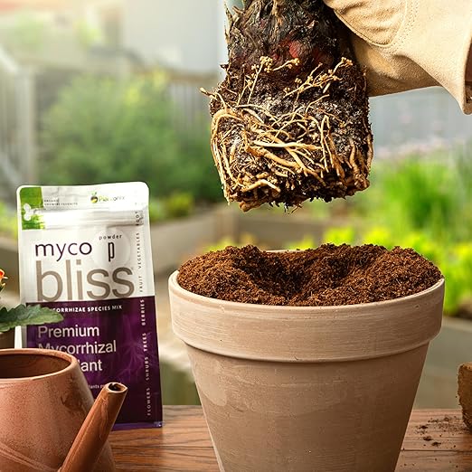 Myco Bliss Granular (200 g) - Mycorrhizal Fungi for Plants - 5 Strain Mycorrhizal Inoculant with 1000 Propagules Per Gram - Highly Concentrated Mycorrhizae for Plants, Potting Soil, & Garden Soil