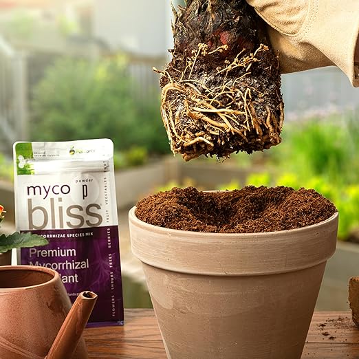 Myco Bliss Granular (2lbs) - Mycorrhizal Fungi for Plants - 5 Strain Mycorrhizal Inoculant with 1000 Propagules Per Gram - Highly Concentrated Mycorrhizae for Plants, Potting Soil, & Garden Soil