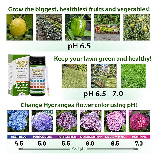 Garden Tutor Soil pH Test Kit – 100 Strips with AI-Powered Web Reader – Accurate Testing for Lawn, Garden & Compost – pH 3.5–9
