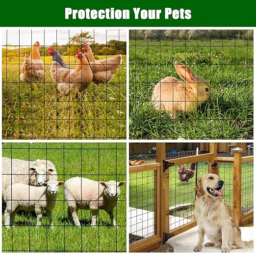 Hardware Cloth 2inchx3inch 24inx50ft 16 Gauge Chicken Wire Fence Galvanized Steel Mesh Rolled Fencing for Garden Supports Poultry Netting Cage Snake Fence Tree Guard, Black