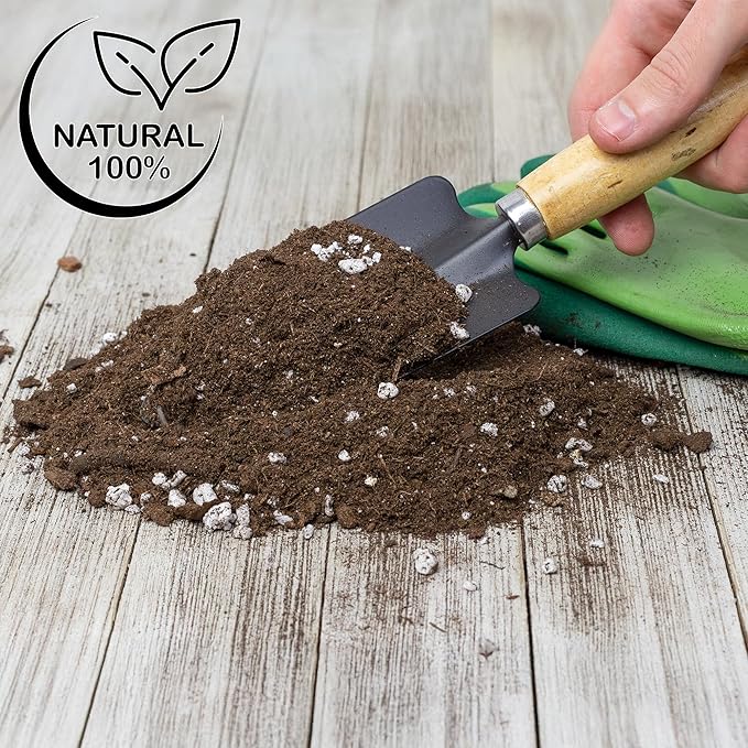 Elephant Ear Potting Soil Mix (8 Quarts), Colocasia and Alocasia Potted Plant Blend