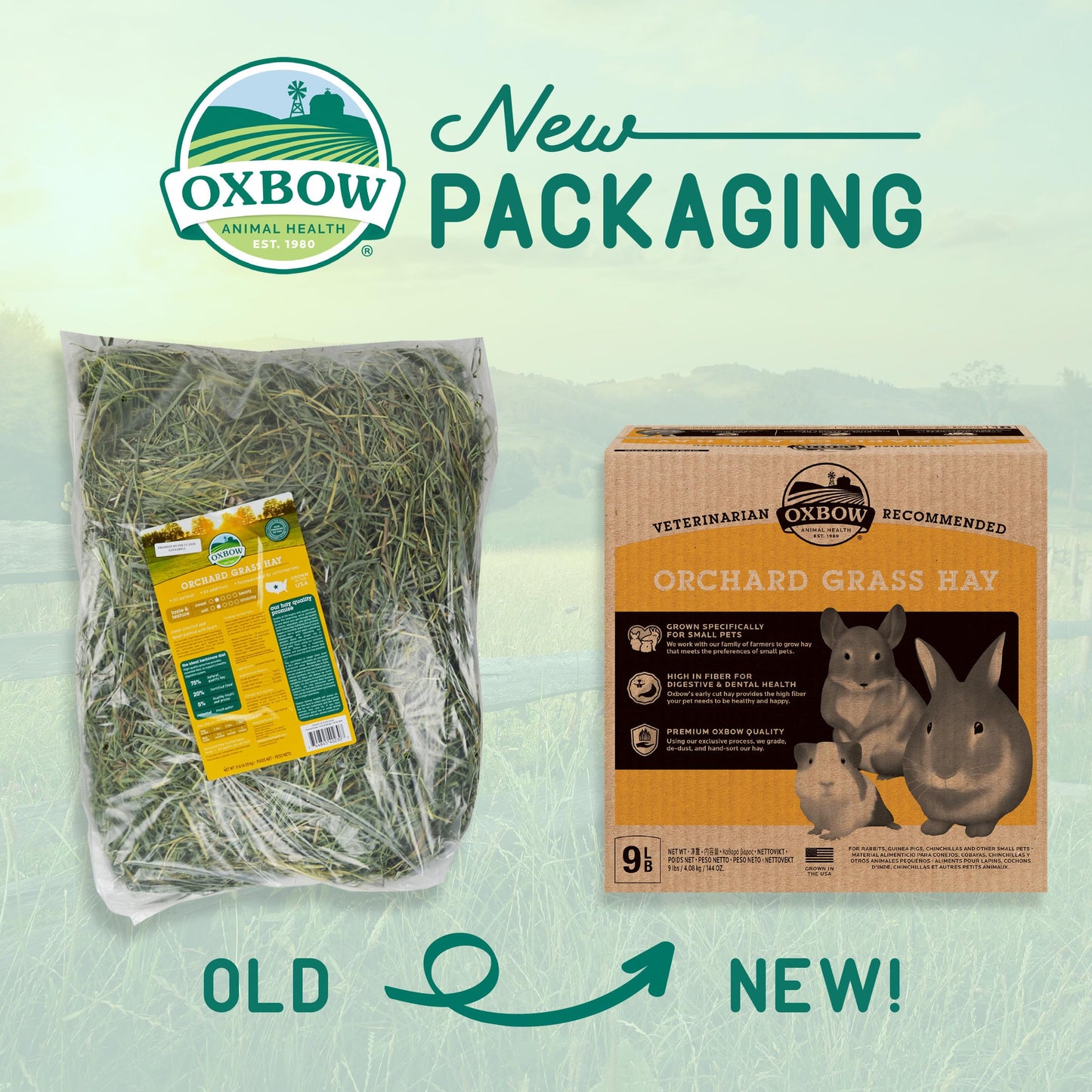 Oxbow Animal Health Orchard Grass, Guinea Pig Hay, Rabbit Hay, Small Pet Bunny Supplies, All Natural Grass for Guinea Pig, Bunny, Chinchilla & Hamster, Oxbow Rabbit Supplies for Bunnies, 9 lb. box